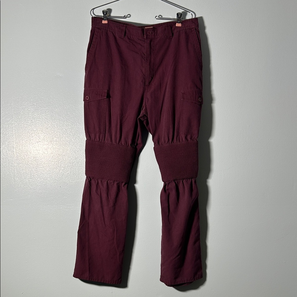 Disney Men's Avatar Burgundy Cargo Pants with Knee Paneling